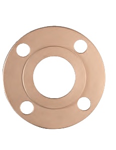 FlawTech Forged Pipe Flange